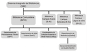 organograma_bco.png