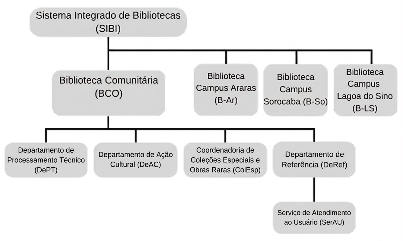 organograma_bco.png